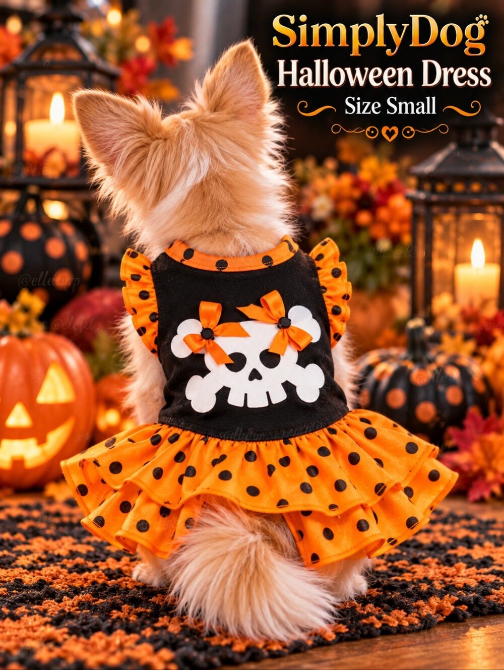 SimplyDog Halloween Dress W Skulls Size Small